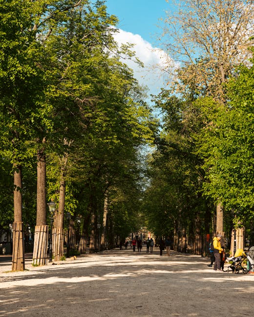 A wide, urban street lined with tall, leafy trees on both sides, creating a canopy overhead with green foliage. The street surface appears to be gravel or dirt, with patches of sunlight filtering thro
