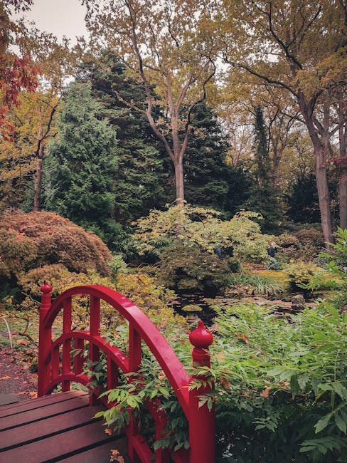 A small red wooden footbridge with decorative posts and spherical finials spans over a pond filled with aquatic plants, surrounded by dense shrubbery and mature trees with green and autumnal foliage. The scene is located within a garden or park setting, featuring natural lighting and a serene atmosphere, which may be part of a property prepared for house removals or moving services. The image captures the outdoor environment where furniture and boxes from a home relocation could be loaded or moved, reflecting the process of packing and transport within a landscaped area, as seen in the context of services offered by Removal Company Holland Park.
