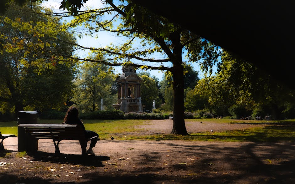 A person is sitting alone on a wooden park bench in a shaded area of a public park, facing towards an ornate stone fountain surrounded by lush green trees and shrubs. The bench is positioned on a dirt pathway, and the person appears relaxed, possibly during a home relocation or outdoor activity. In the background, the fountain features multiple tiers with spouts of water, set amidst well-maintained landscaping. The scene is illuminated by natural daylight, with sunlight filtering through the leafy canopy overhead, casting shadows on the ground. The overall environment suggests a peaceful outdoor space that could be used for break periods during the furniture transport or packing stages of house removals, with the natural setting providing a calm atmosphere suitable for rest. This image reflects the calm and organized atmosphere associated with various aspects of professional removals, such as planning, packing, and transporting household items, and may be relevant for content about home relocation services offered by Removal Company Holland Park.