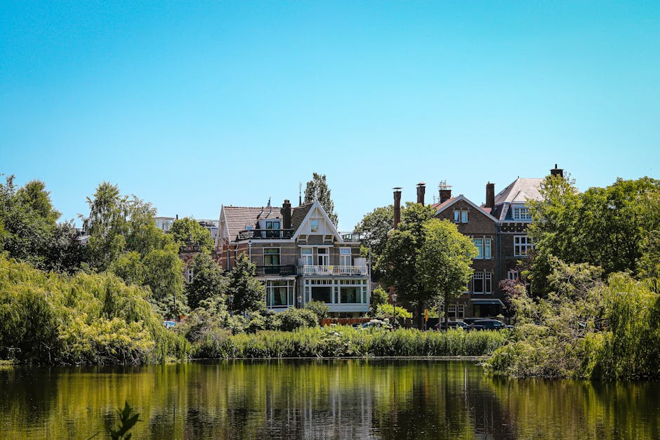 A clear, sunny day view of residential houses situated along a canal or pond, with multiple multi-storey buildings featuring gabled roofs, balconies, and large windows. The houses are surrounded by lush, green trees and bushes, some with dense foliage, extending to the water's edge. The scene includes a calm body of water reflecting the trees and houses, with a narrow strip of grassy and shrubbery-covered land separating the water from the buildings. The sky is bright blue with no visible clouds, indicating good weather. This setting illustrates a well-maintained urban or suburban area suitable for house removals and home relocation services, as provided by Removal Company Holland Park, with scenic surroundings conducive to moving logistics, packing, and furniture transport processes.