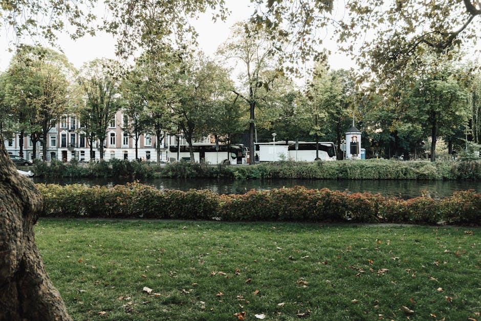 https://removalcompanyhollandpark.co.uk/blog/holland-park-removals-near-holland-park-station-local-movers/