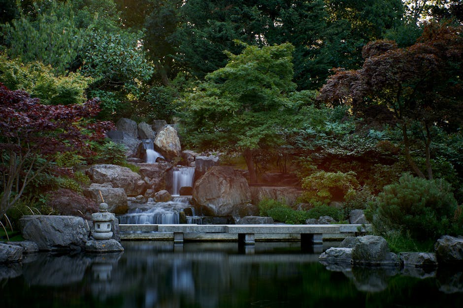 A serene garden scene featuring a small cascading waterfall flowing over large rocks into a calm pond, surrounded by lush green trees and shrubs. On the left side of the pond, a traditional stone lantern is situated on a flat stone surface, with various cardboard boxes and packing materials nearby, indicating a home relocation or moving process. A light-colored moving trolley is positioned on the narrow concrete bridge that spans the pond, supporting the loading or unloading of furniture and boxes as part of a furniture transport operation by Removal Company Holland Park. The environment is well-lit by natural sunlight filtering through the dense canopy of trees, emphasizing the natural setting while subtly reflecting interior packing and moving activities within the scene.