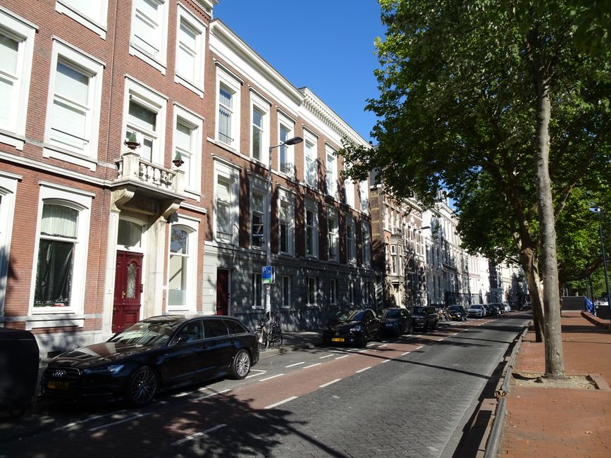 A wide, tree-lined street in Holland Park, showing tall deciduous trees with green and yellow leaves, indicating early autumn. The street is covered with fallen leaves and is bordered by sidewalks, la