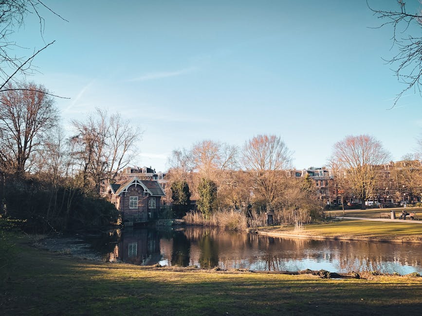A tranquil park scene featuring a small pond with calm water reflecting the surrounding trees and sky, positioned near a residential area with brick houses visible in the background. The park has well-maintained grassy areas and leafless trees indicating a late autumn or winter season. The sky is clear with a few wispy clouds. The scene is outdoors, illuminated by natural daylight. This environment can be associated with house removals and moving services, such as those offered by Removal Company Holland Park, which may involve transportation and logistic support for home relocation projects near scenic locations or urban residential neighborhoods.